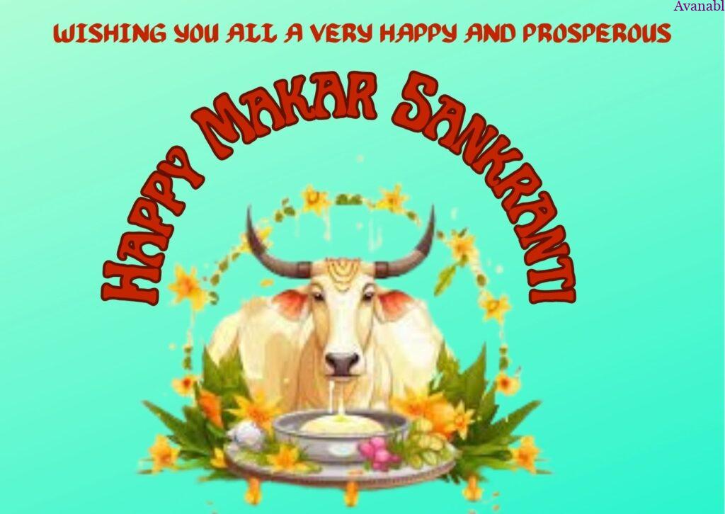 India cow Sankranti wishes