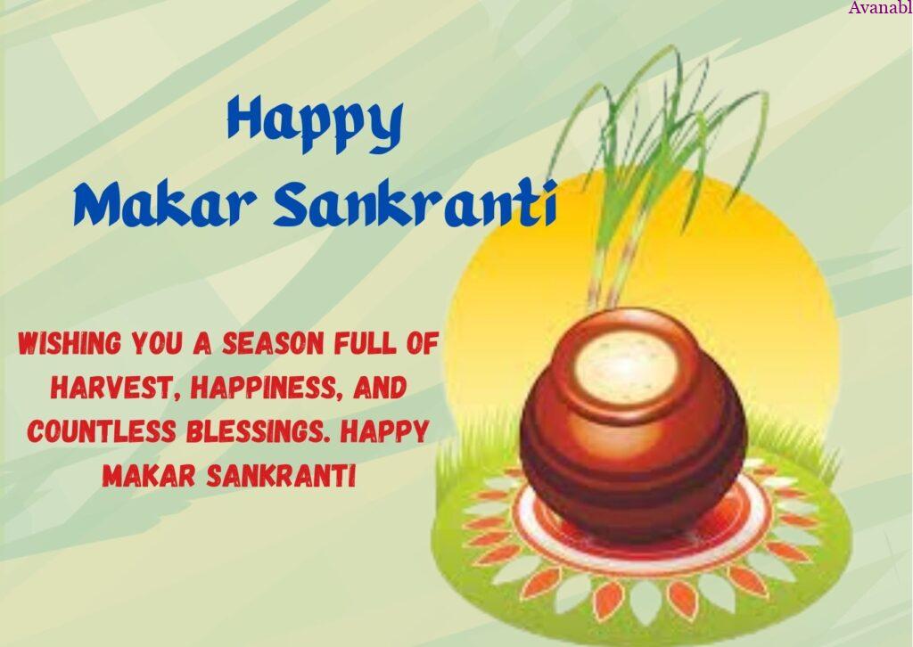 sun, sugarcane and Pongal  in pot Sankranti wishes