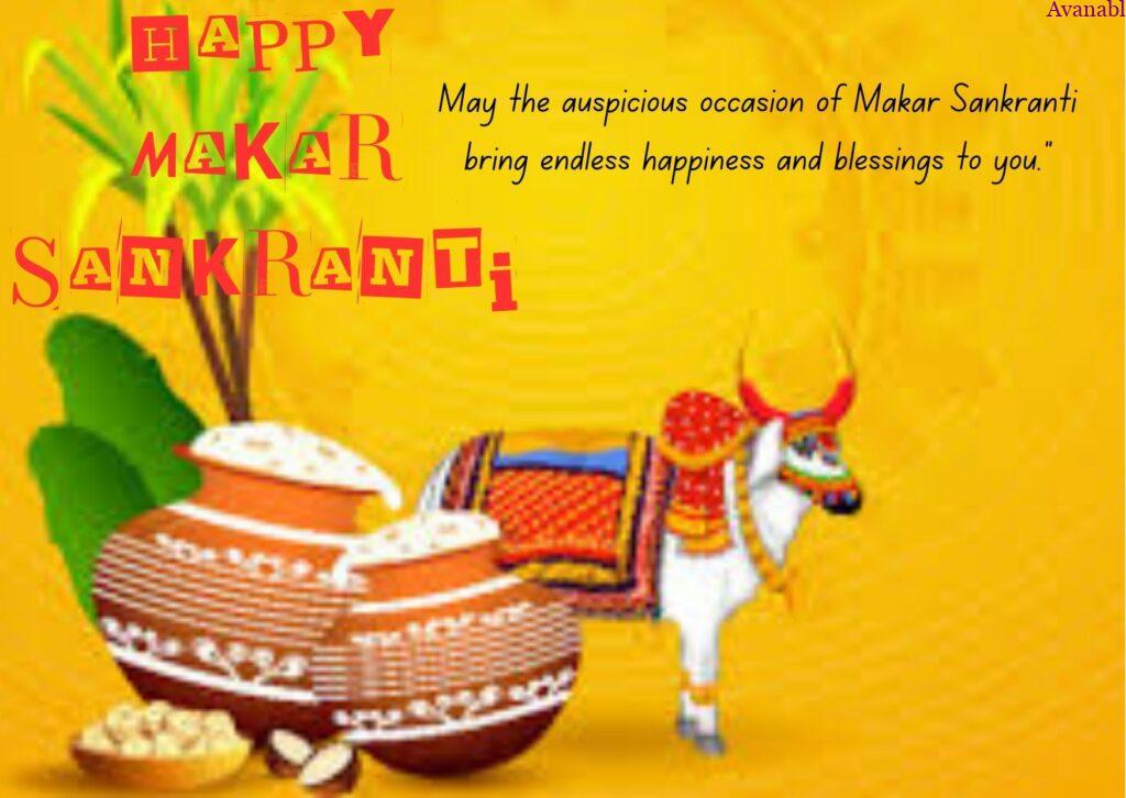 Indian Cow and Pongal for Sankranti festival wish