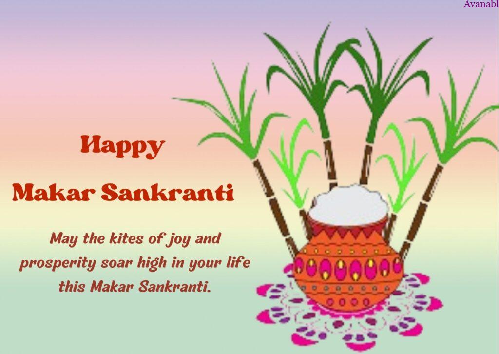  sugarcane and Pongal in pot Sankranti wishes