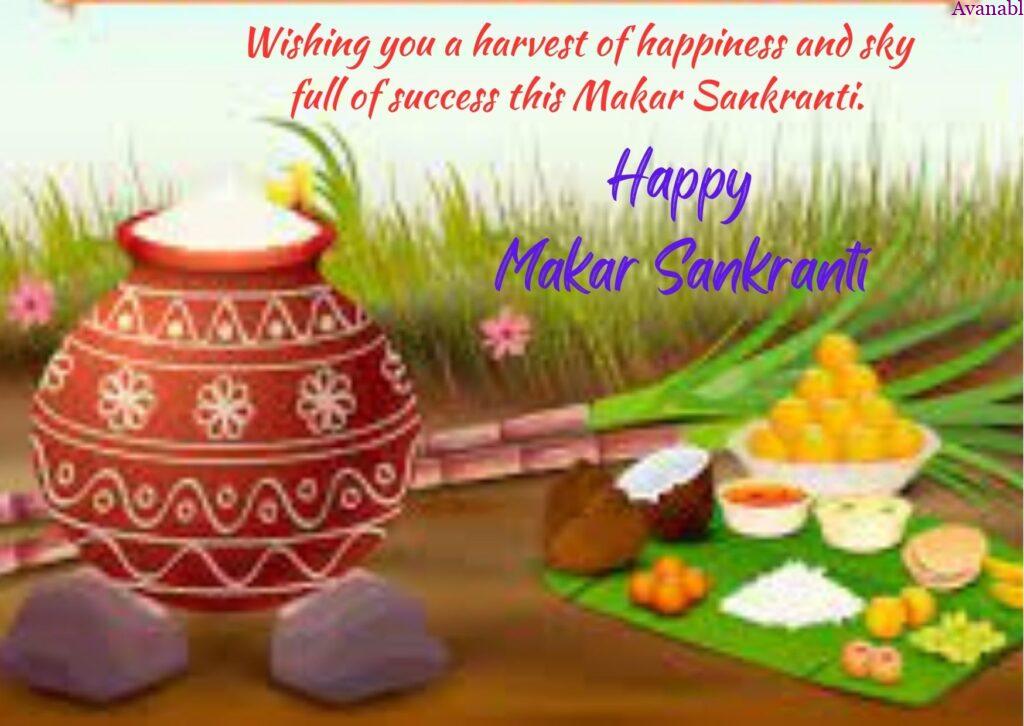 Preparing  Pongal in agricultural land Sankranti wishes