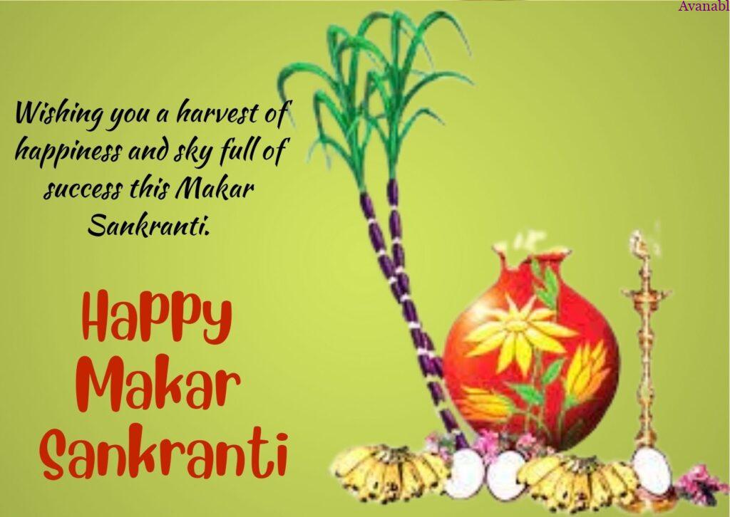 colorful Pongal pot  and sugarcane Sankranti wishes