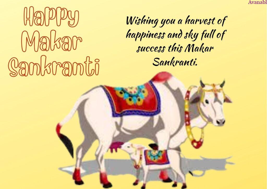 Indian cow and calf Sankranti wishes