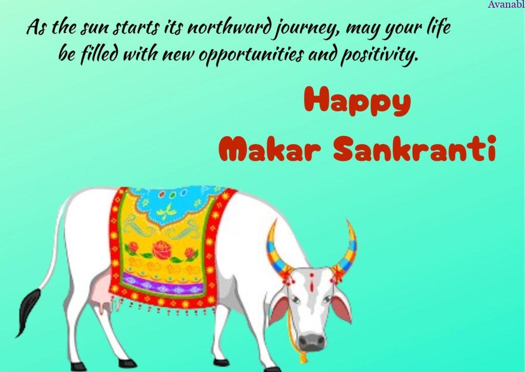 cow Indian cow Sankranti wishes