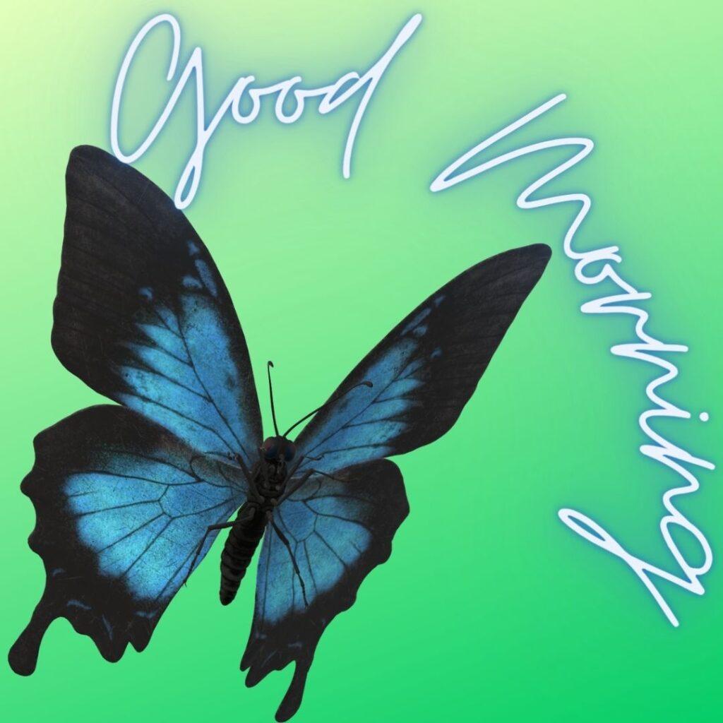 A butterfly is flying on a green gradient background morning wish