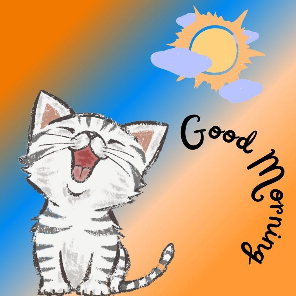 Grey happy cat and sun, morning wishes