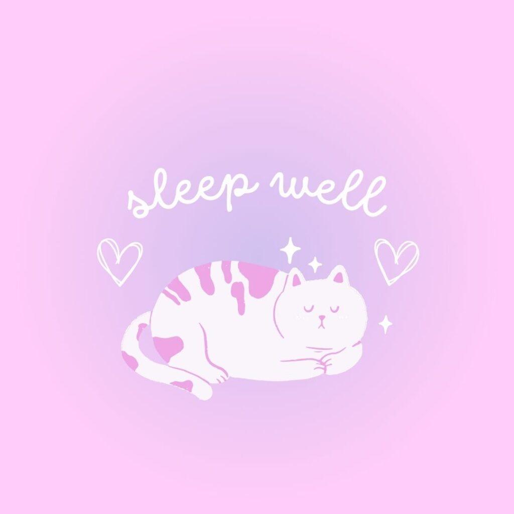 Pink background sleeping cat saying good night