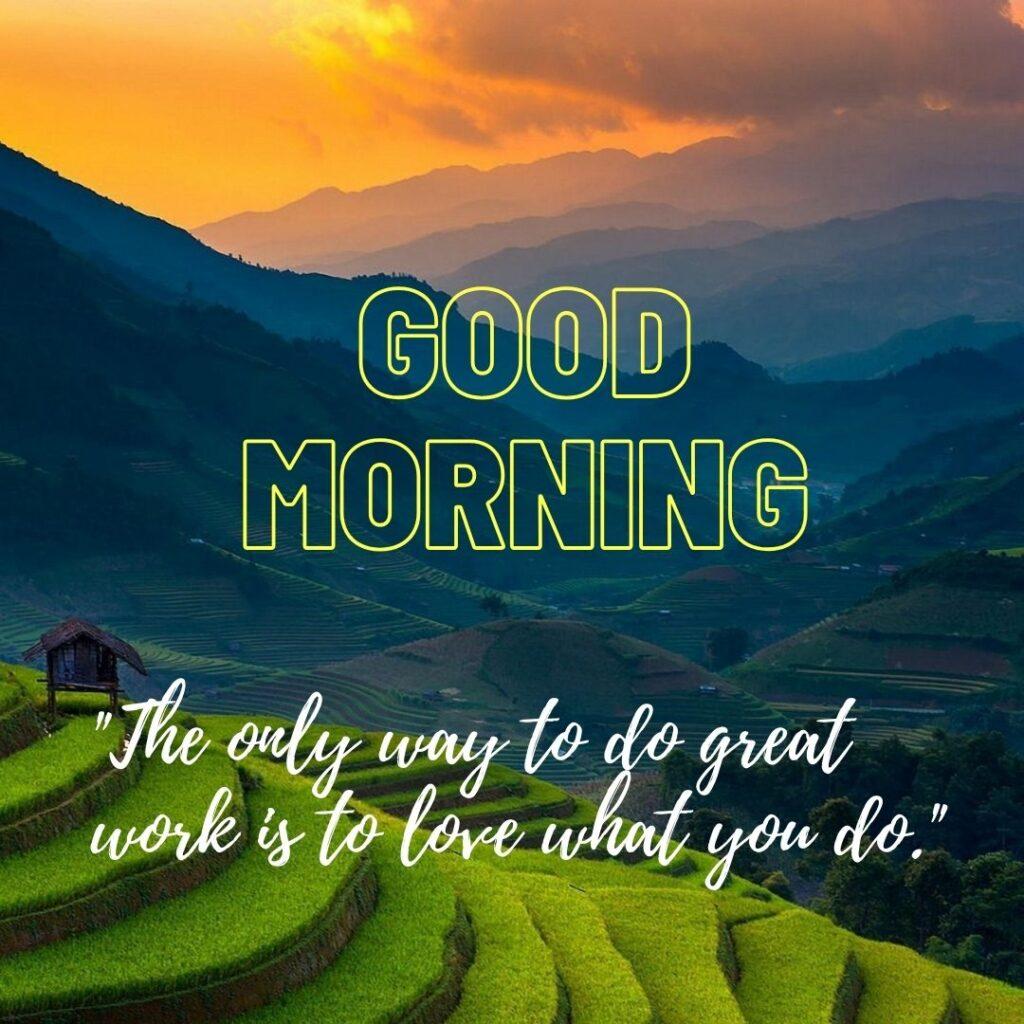 Tea land and sun rise in back side of mountain good morning image and quotes