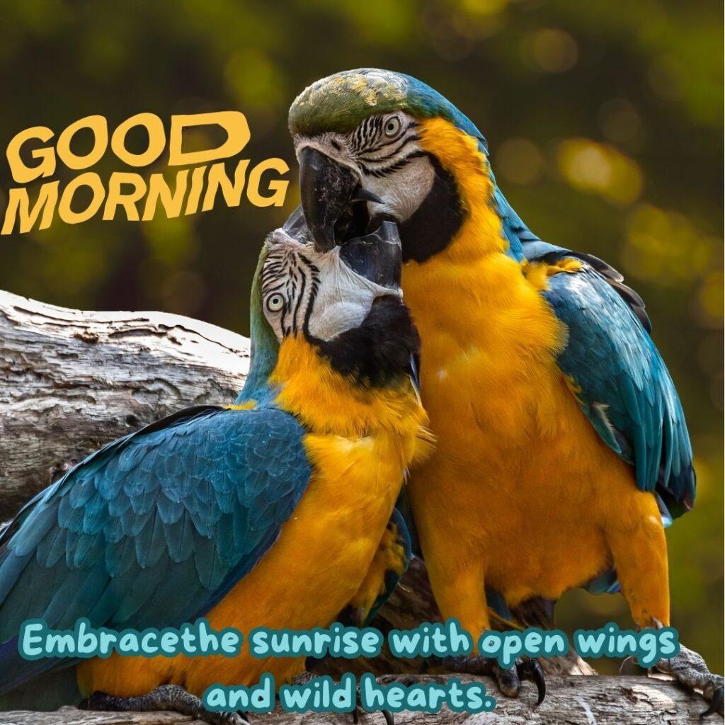 Two parrots make love in the morning