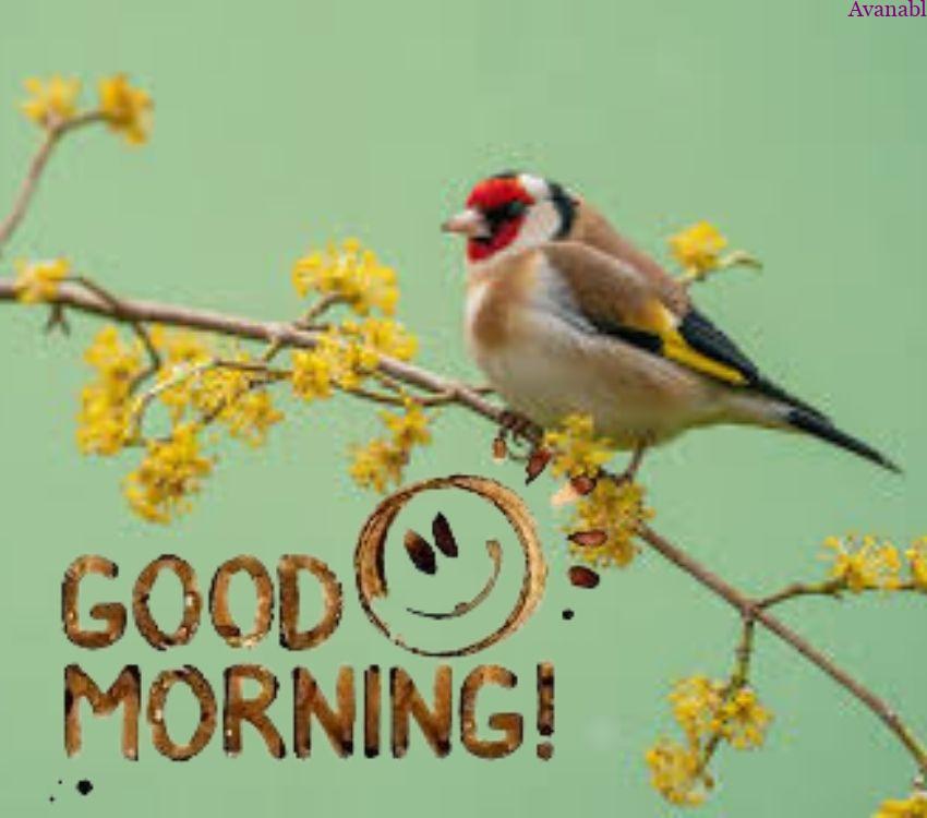 Bird sitting on yellow flower branch morning wishes image