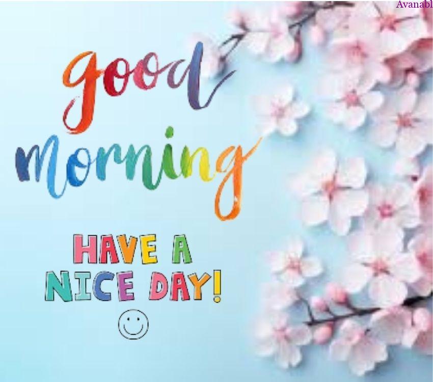 Blue background with pink flowers morning wishes image