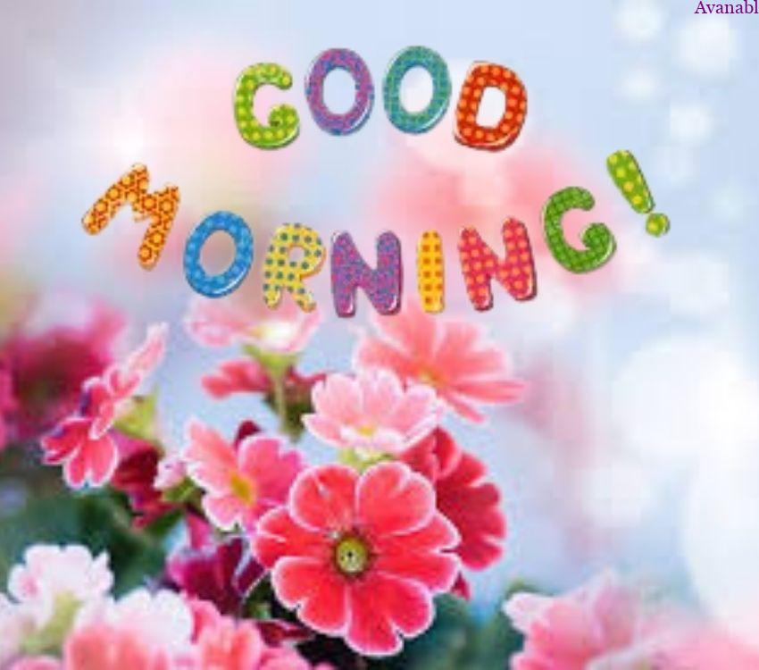 Colorful flowers and morning wishes images