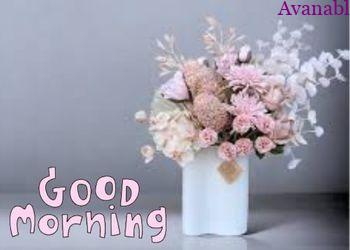 Flowers in vase morning wishes