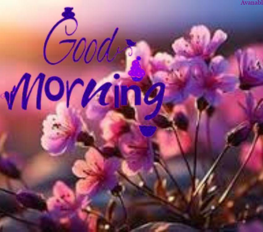 Multi color shade background with pink flowers morning wishes images