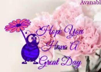 Pink flower background with bee morning wishes