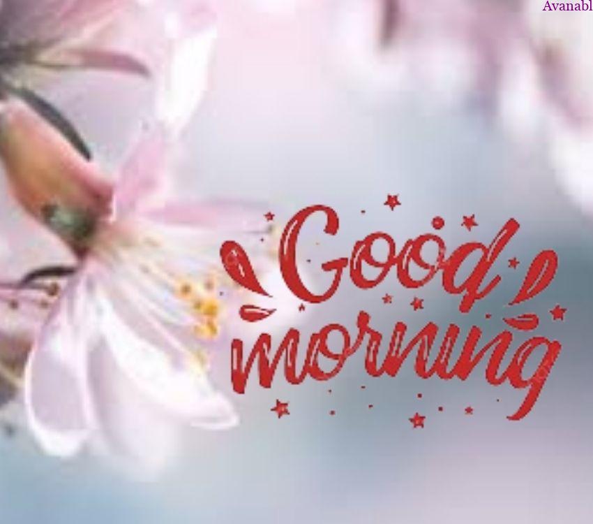 Pink flowers morning wishes images with gray background