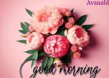 Pink shade flower and background morning wishes