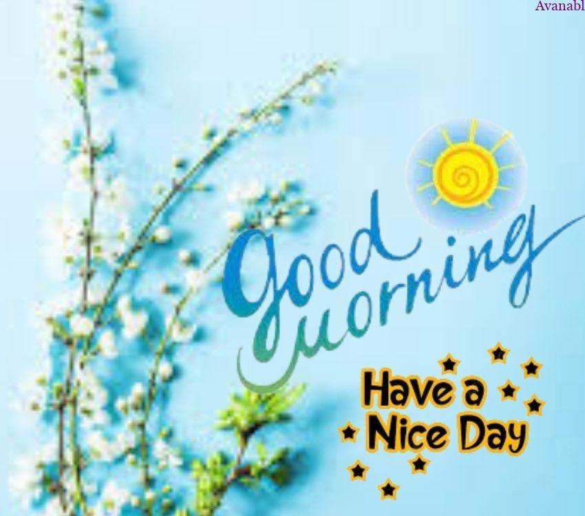 Sky blue background and small white flowers morning wishes images