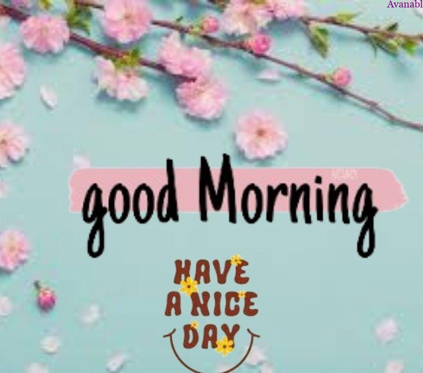 green background and pink flowers morning wishes images