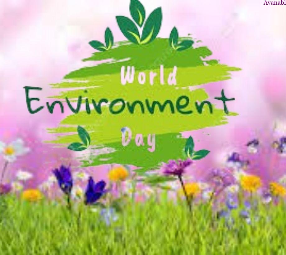 Pink and green background environment day images