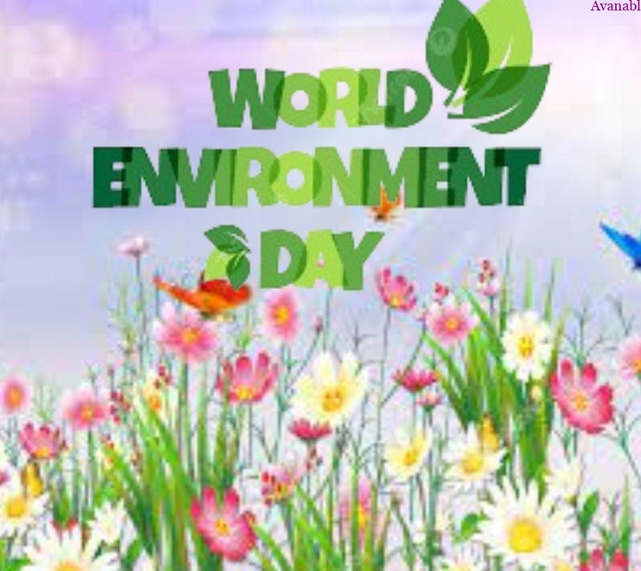 Background Pink and white flower world environment day image