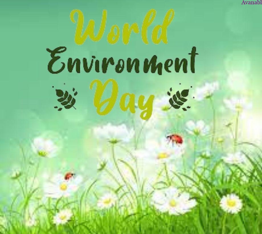 Background  White flowers and butterfly environment day wishes