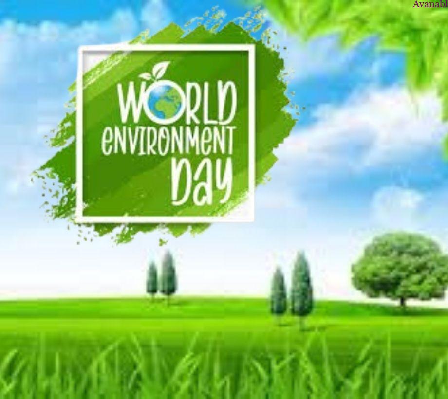 Background  sky and nature environment day wishes