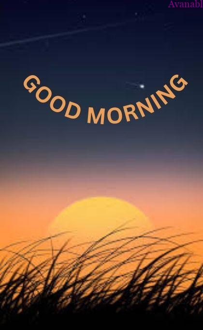 grass and big sun rise morning wishes image