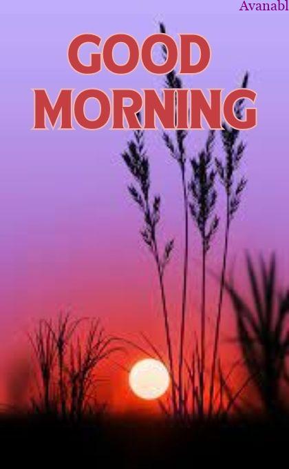 Purple and red background with plants sun rise images