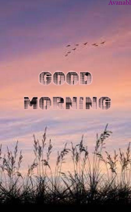 Orange and blue background morning images