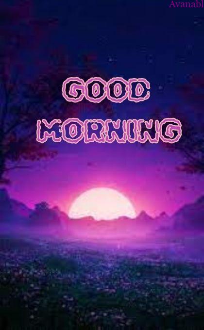 purple and pink sunrise images