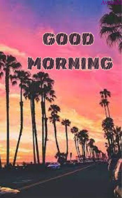Coconut tree sunrise morning wishes images