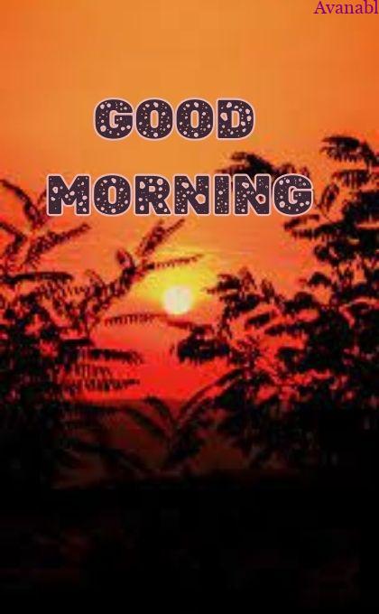 blue shade sunrise morning wishes