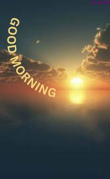 Sun rise reflect on the sea morning wishes image